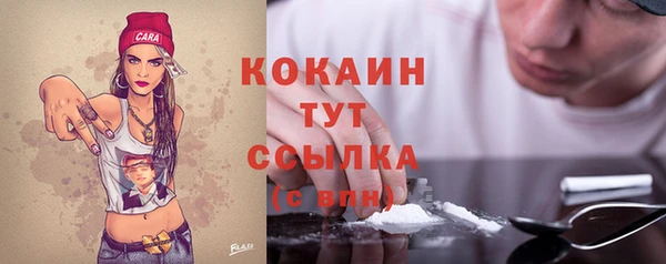 Альфа ПВП Аркадак