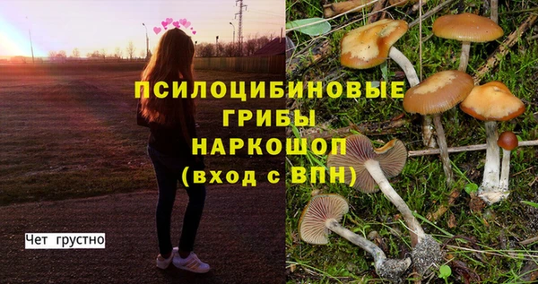 Альфа ПВП Аркадак